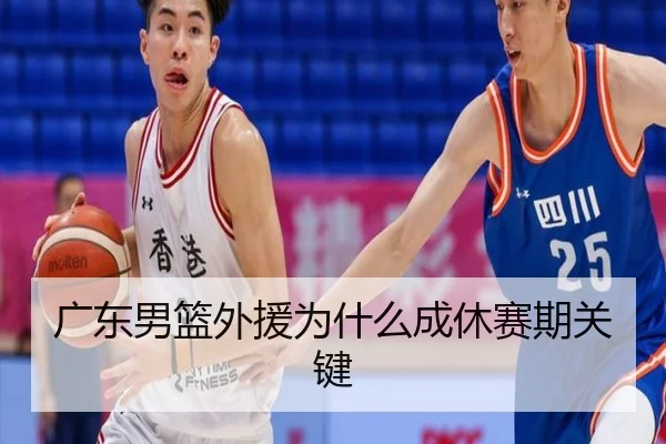 广东男篮外援为什么成休赛期关键